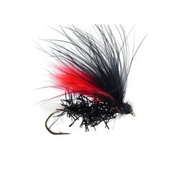 Christians Black Devil