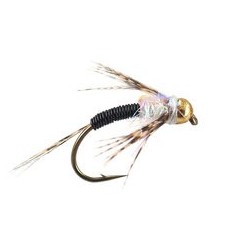 Black Metalribbed Devil