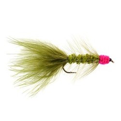 Egg Sucking Leech Olive