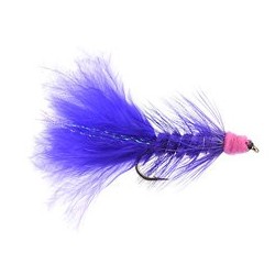 Egg Sucking Leech Purple