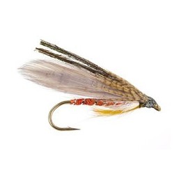 Franks Orange Friend