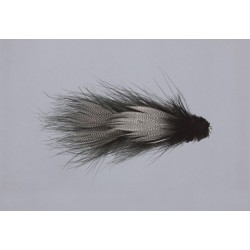 Galloups Black Articulated Fathead Th