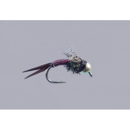 Blue Red Zebra Copper