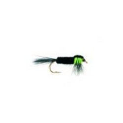 Green Fluo Montana Weighted