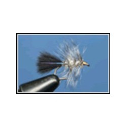 Humungus Competition Silver