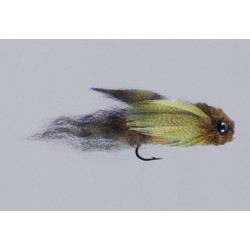 Mikes Olive Organ Donor