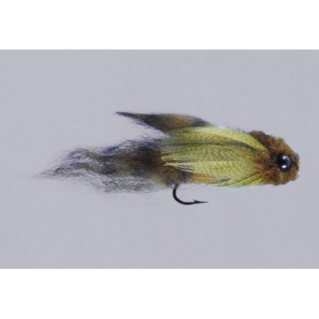 Mikes Olive Organ Donor