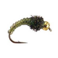 Caddis Larve Olive