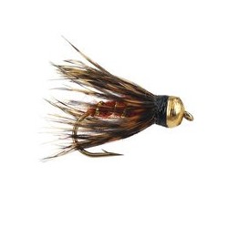 Caddis Pupa Brown