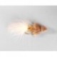 Muddler Yellow Brown With Cream Tail