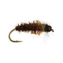 Cased Caddis
