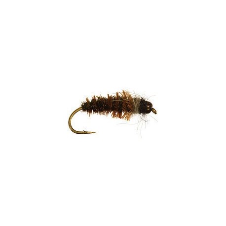 Cased Caddis