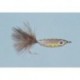 Rainys Epoxy Rainbow Trout Streamer
