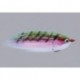 Rainys Rainbow Warmwater Cf Baitfish