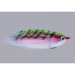 Rainys Rainbow Warmwater Cf Baitfish