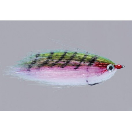 Rainys Rainbow Warmwater Cf Baitfish