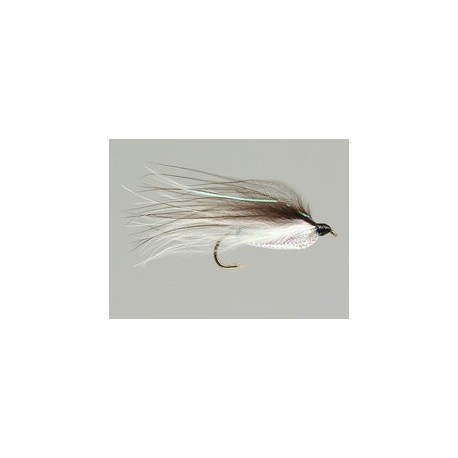 Rickards Shiner Minnow Brown