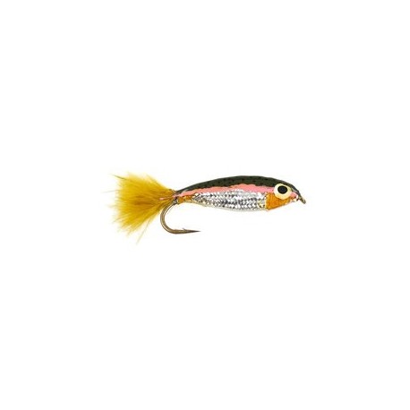 Trota Iridea Epoxy Minnow