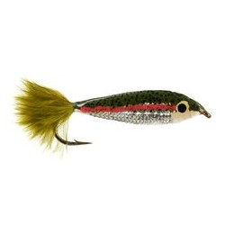 Trout Epoxy Minnow Variant Ii