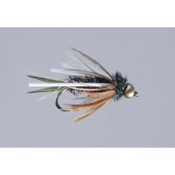 Dales Rl Crown Prince of Flash