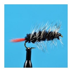 Woolly Worm Black