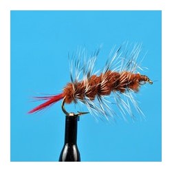 Woolly Worm Brown