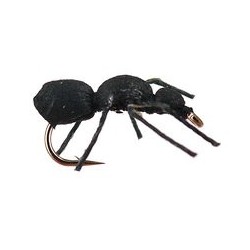 Black Ant