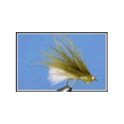 Dawsons Olive With White Tail