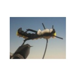 Blt Brown and Golden