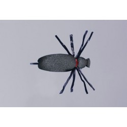 Brown June Bug Beetle