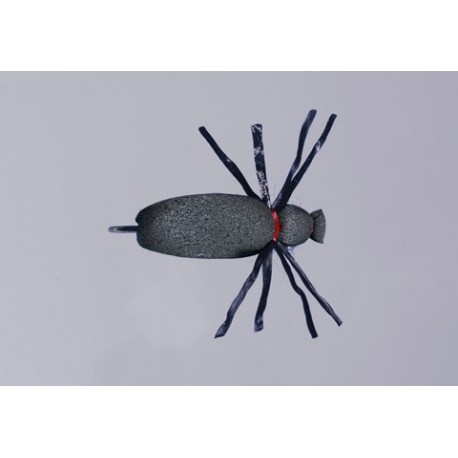 Brown June Bug Beetle