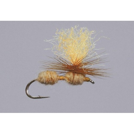 Cinnamon Hi Viz Para Ant