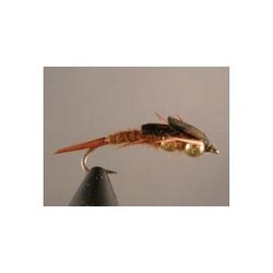 Double Bead Brown Stonefly