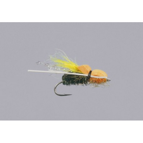 Dales Ugly Bug Beetle