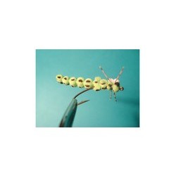 Extended Body Inchwork