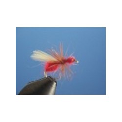 Flying Ant Red