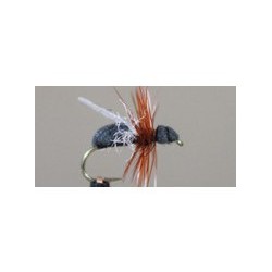 Flying Black Ant Foam