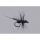 Flying Black Ant