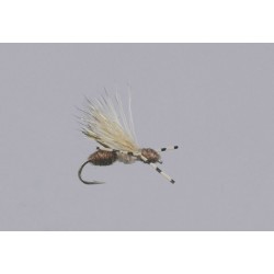 Galloups Brown Ant Acid