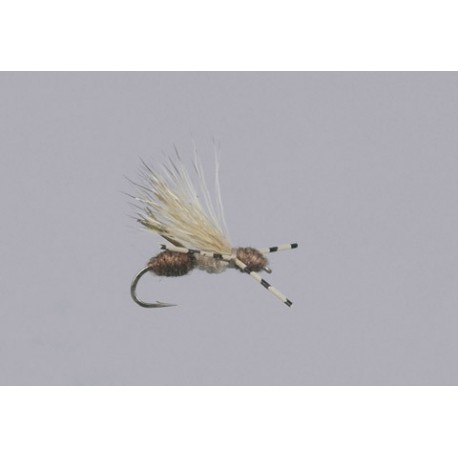 Galloups Brown Ant Acid