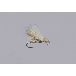 Galloups Cinnamon Ant Acid