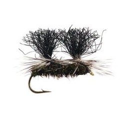 Hi Vis Black Ant Floater