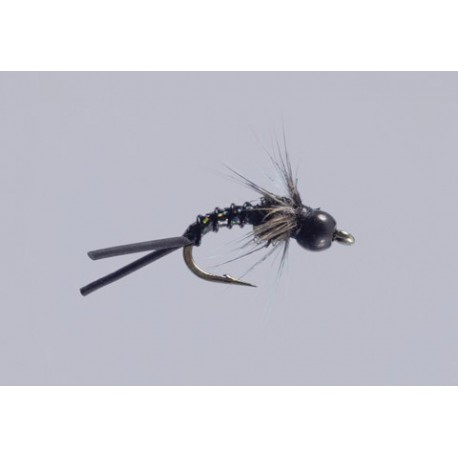 Egrys Black Holo Baetis