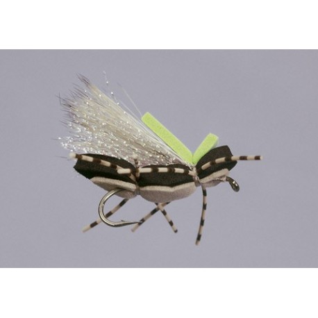 Js Black Tan Obe Wan Chernobe Ant