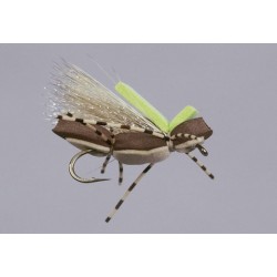 Js Brown Tan Obe Wan Chernobe Ant