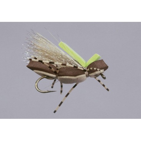 Js Brown Tan Obe Wan Chernobe Ant