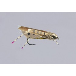 Js Tan Drowned Grand Hopper