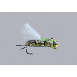 Js Tan Yellow Mudfoot