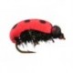 Lady Bug