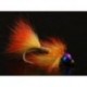 Fire Tiger Copper Nymph